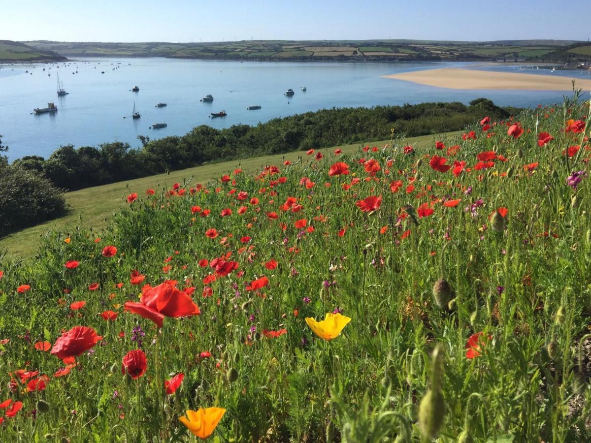 Bed and Breakfast Tor View Padstow Exterior foto